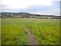 Bridleway across a field east of Silo Farm in NG15 6QN