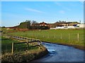 Birks Road near Burnside Farm in NE15 9QU