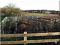 Footbridge at Dewley Burn in NE15 9QU
