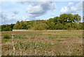 Marshy land by the River Sow in Staffordshire in ST17 0UW