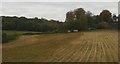 Woodbridge: looking up the valley to Maidensgrave, from the railway in IP12 4AZ