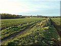 View across the fields to Beacon Hill and Silo Farm in NG15 6QN