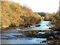 Downstream from Whorlton Bridge in DL12 8XD
