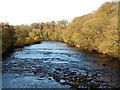 Upstream from Whorlton Bridge in DL12 8XD