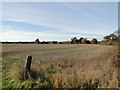 Stubble field at New Farm, Sleaford in Sleaford Westholme Ward