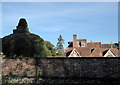 Sharsted Court, wall and topiary in ME9 0JU