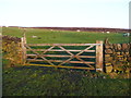 Gate on Wadsworth FP62 near Keelam Farm in HX7 8TG