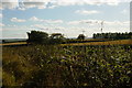 Farmland and hedgerows from A697 in NE61 3JW