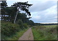 Peddars Way & Norfolk Coast Path at Holkham Gap in NR23 1AD