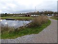 Pool at Ashcott Heath, RSPB Ham Wall in BA16 9SE