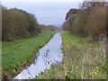 Drainage ditch on RSPB Ham Wall reserve in BA16 9SE