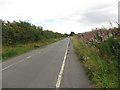 Country lane west of Dinnington in NE13 7GE