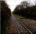 Rhondda Line from Ynyswen station towards Treorchy station in CF42 5BA
