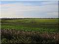 Field by Purl's Bridge Road in PE15 0ND