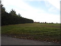 Field by Little Laver Road, Abbess Roding in CM5 0NY