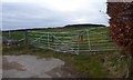 A pair of overlapping field gates adjacent to Harestone in AB31 5QL
