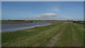 Path along embankment W of Dunball Drove near Bridgwater in Walpole