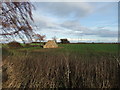 Hay bales near the Oldgate track in HU16 5TQ