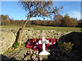 The Airman's Grave one week after Remembrance Sunday in TN22 3BG