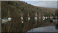 Windermere - Boats moored below Station Scar Wood in LA22 0LP