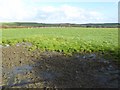 Farmland near East Langford Farm in EX22 7LB
