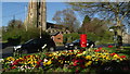 Pontesbury - St George's Church & flower border in SY5 0FP