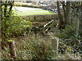 Wooden bridge in Ham's Gulley in BS40 7UT