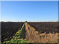 Fen ploughland in November in CB6 2DA