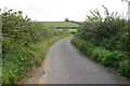 Lane from North Barrow in BA22 7BA