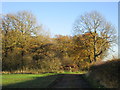 Approaching Thistly Coppice in Dover Beck Ward