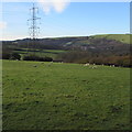 Electricity pylon in a field near Bettws in CF32 8UN