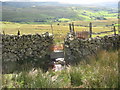Flooded footpath gate on the path from Llyn y Manod in LL41 4AU