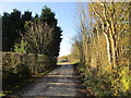 Farm track at Enholmes Farm in HU12 0ND