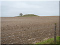 Tumulus on Harestone Down in SN8 4EY