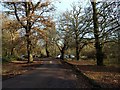 Parking area in Savernake Forest in SN8 4ND