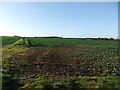 Fields near Walkington in HU17 8AR