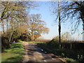 Hagg Lane at Eastwood Farm in Dover Beck Ward