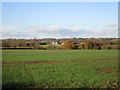 View towards Brockwood Farm in Dover Beck Ward