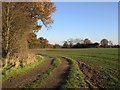 Bend in the bridleway by Thistly Coppice in Dover Beck Ward