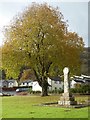 War memorial and tree in Llandogo