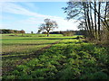 Fields between Bourton and Woodhouse Farm in TF13 6QJ