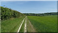 South Downs Way W of Chilcomb near Winchester in SO21 1HR