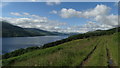 View SW along Loch Tay from track W of Boreland, Fearnan in PH15 2FE