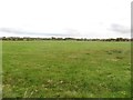 Grass field on the edge of Cramlington in NE23 8ET