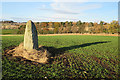 Murrayshall Standing Stone (1) in PH2 6AY