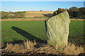 Murrayshall Standing Stone (3) in PH2 6AY