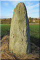 Murrayshall Standing Stone (4) in PH2 6AY