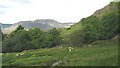 View back along the path in the direction of Bron Manod house with the Moelwyn Hills  in the background in LL41 4AU