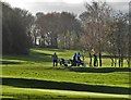 Golfers on Hallowes golf course in S18 1XX