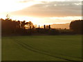 Field on Rossie Estate at sunset in PH14 9QE